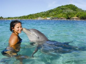 Family Galapagos Vacation Packages