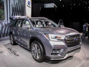 2026 Atlas Vs Ascent AWD SUV
