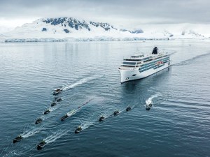 Antarctica Wildlife Expedition Tours