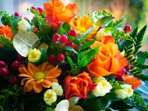 Ashburn Virginia Flower Delivery