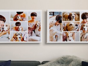 Canvas Prints From Photo