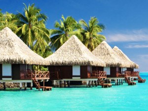 Turtle Bay Oahu Hotel Deals