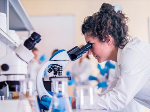 Hattr Amyloidosis Targeting Treatments