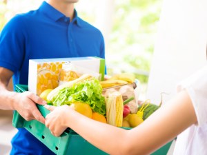 Local Food Delivery Companies