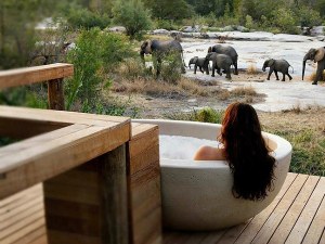 Great Migration African Safari Tours
