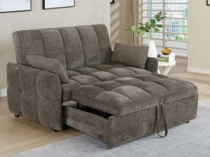 Sleeper Sofa