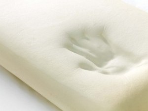 Tempurpedic Egonomic Foam Pillows