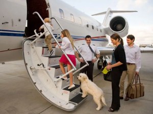 Flexjet Co-Ownership Expenses