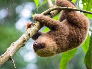 Costa Rica Family Tours