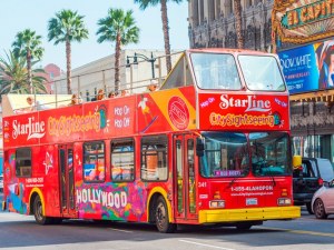 Usa Guided Tours For Seniors