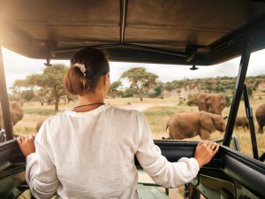 Botswana Luxury Safari Tours
