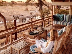Luxury African Safari Tours