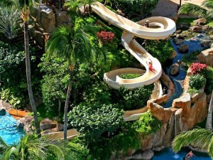 Honolulu Family Hotel Packages