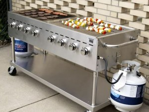 Fire Magic Professional Grills
