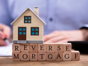 AIG Reverse Mortgage