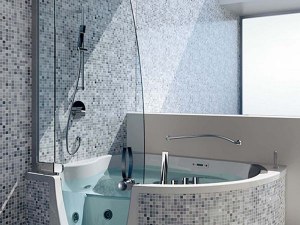 Best Walk-In Tub Shower Combination