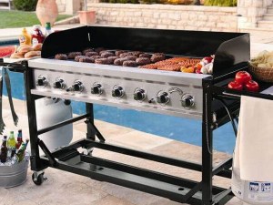 Fire Magic Grills Deals