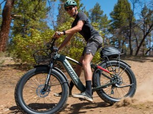 Shop Ebikes