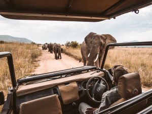 Tanzania Safaris Tour Packages