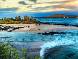 Galapagos Cruises