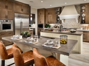 Kitchen Design Consultation