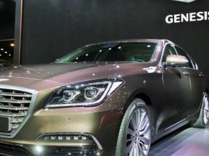 New G-80 Genesis