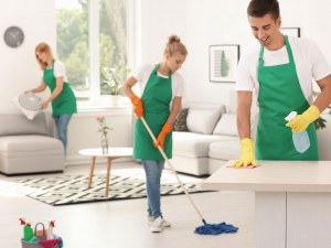 Tarifs Dune Femme De Ménage à Domicile