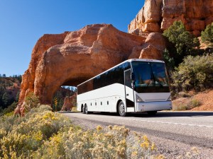 2024 Senior Group Tours Of Italy