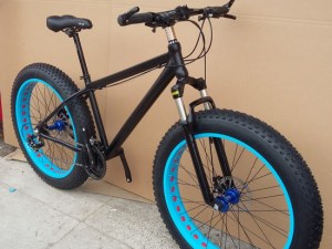 Electric Mountain Bike Review