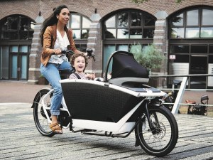 Electric Bicycle Sale