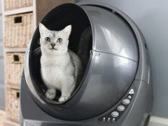 How to Pick the Right Litter Box for Your Cat