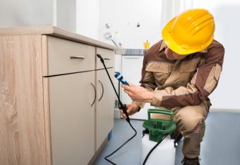 Choosing the Best Pest Control Company
