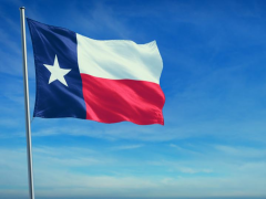 Essential Considerations in Forming a Successful LLC Online