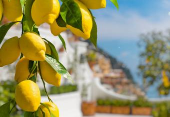Amalfi Coast Vacation Packages for Foodies