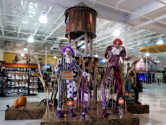 Selecting and Displaying Halloween Decorations