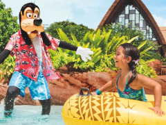 The Ultimate Guide to Disney Vacations