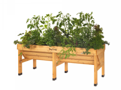 Why You Should Consider Investing in Garden Planters