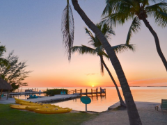 Top Places to Visit in Florida