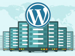 Web-Hosting: What You Need To Know