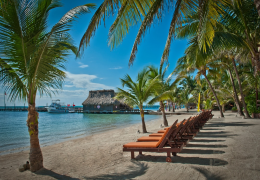 Everything You Need To Know About Resorts