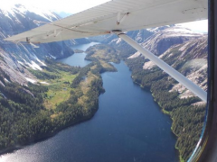 Business Flight: What You Need To Know