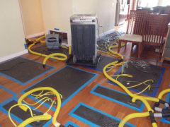 Water Damage and Water Restoration Options