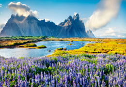 See the Major Attractions in Iceland