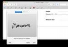 Why You Need an Electronic Signature