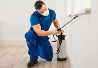 Eradicate Pests with These Master Exterminators