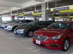 The Basics of Car Rental
