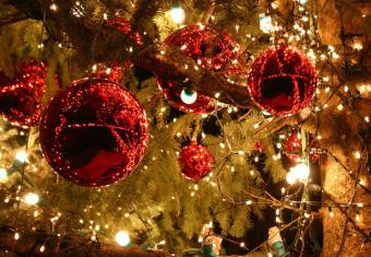 Top Benefits Of Xmasphotos