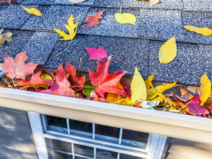 All You Need to Know about Gutter Guards