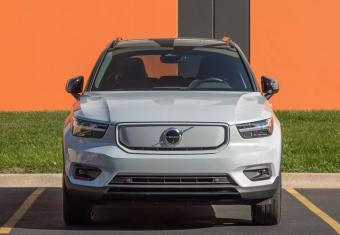 Factual Information About Hybrids