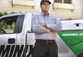 Fleas and Pest Control